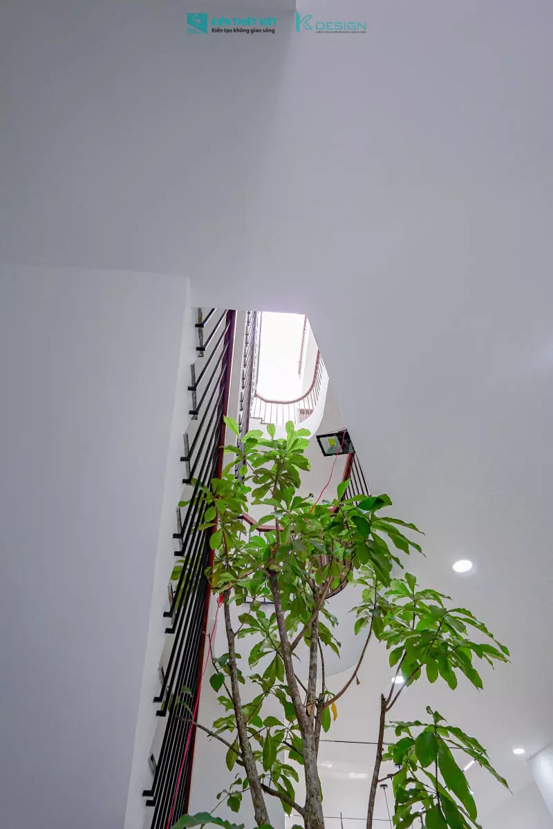 Hình ảnh tiểu cảnh (20)